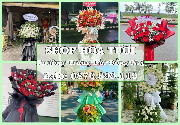 Shop hoa tươi tại Phường Trảng Dài Đồng Nai – Tìm món quà hợp dịp, hợp người nhận · ảnh 1