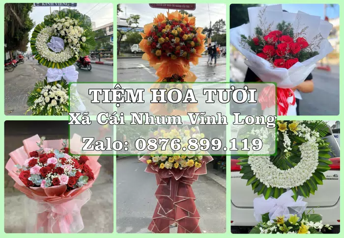 Shop hoa tươi tại Xã Cái Nhum Vĩnh Long – Tư vấn hoa và trái cây theo ngân sách · ảnh 1