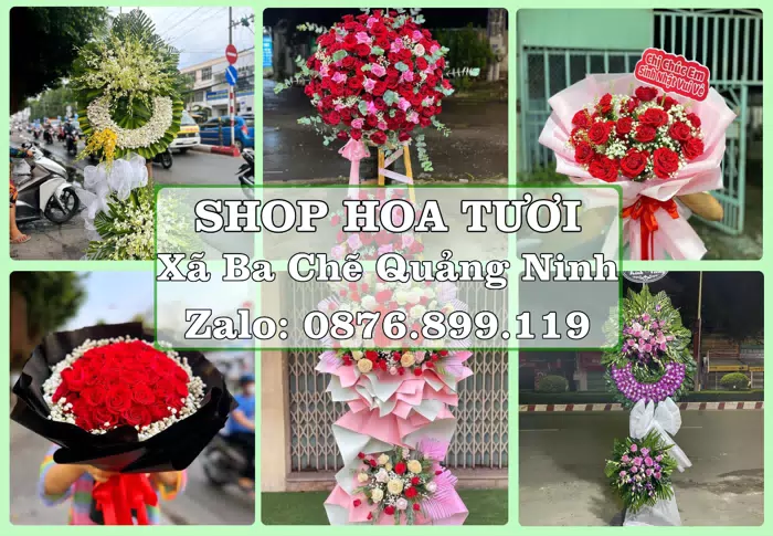 Shop hoa tươi tại Xã Ba Chẽ Quảng Ninh – Chuẩn bị hoa và quà cho dịp sắp tới · ảnh 1