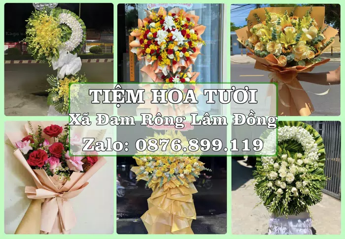 Shop hoa tươi tại Xã Đam Rông Lâm Đồng – Món quà chỉn chu từ những điều nhỏ · ảnh 1