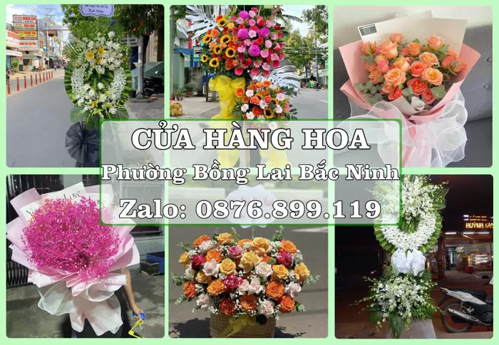 Shop hoa tươi tại Phường Bồng Lai Bắc Ninh – Tư vấn hoa và trái cây theo ngân sách · ảnh 1
