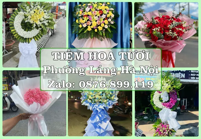 Shop hoa tươi tại Phường Láng Hà Nội – Hoa tươi và trái cây, dễ chọn theo từng dịp · ảnh 1