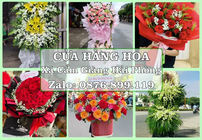 Shop hoa tươi tại Xã Cẩm Giàng Hải Phòng – Hoa tươi và trái cây, dễ chọn theo từng dịp · ảnh 1