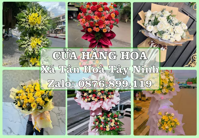 Shop hoa tươi tại Xã Tân Hoà Tây Ninh – Gửi lời quan tâm bằng hoa và trái cây · ảnh 1