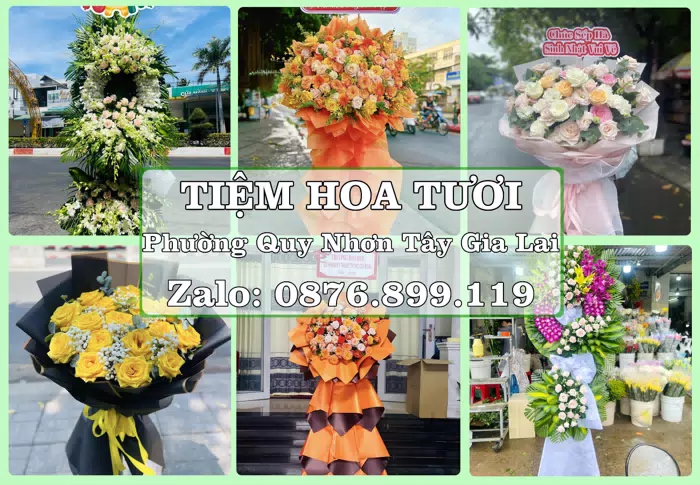 Shop hoa tươi tại Phường Quy Nhơn Tây Gia Lai – Tư vấn hoa và trái cây theo ngân sách · ảnh 1