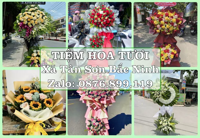 Shop hoa tươi tại Xã Tân Sơn Bắc Ninh – Hoa xinh, trái cây cho những dịp gần gũi · ảnh 1