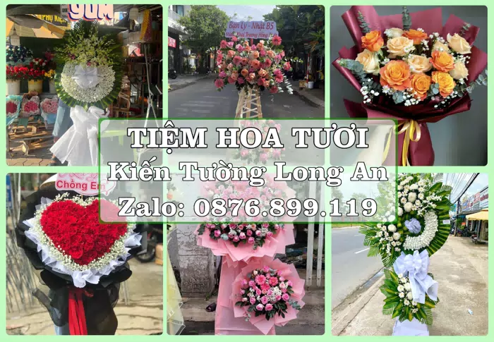Shop hoa tươi tại Kiến Tường Long An – Hoa xinh, trái cây cho những dịp gần gũi · ảnh 1