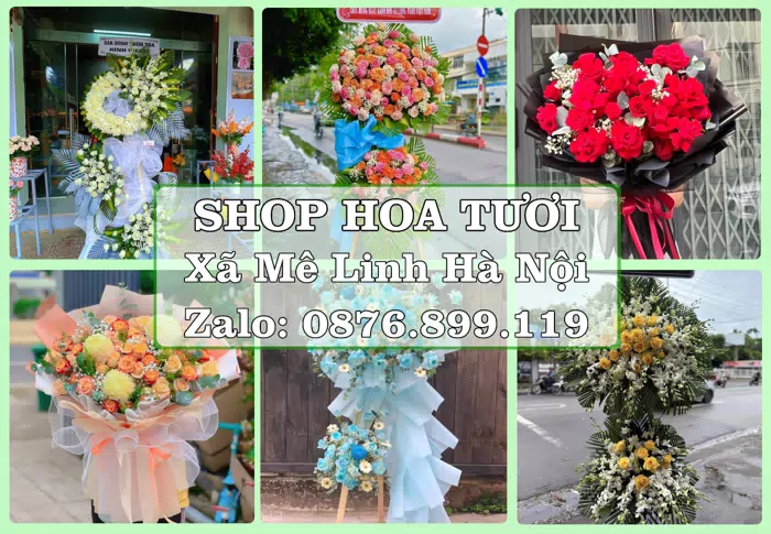 Shop hoa tươi tại Xã Mê Linh Hà Nội – Hoa chúc mừng, quà biếu theo nhu cầu · ảnh 1