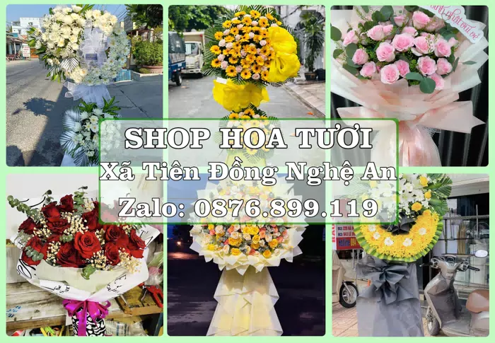 Shop hoa tươi tại Xã Tiên Đồng Nghệ An – Từ bó hoa tặng đến giỏ trái cây biếu · ảnh 1