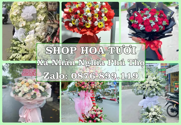 Shop hoa tươi tại Xã Nhân Nghĩa Phú Thọ – Từ bó hoa tặng đến giỏ trái cây biếu · ảnh 1