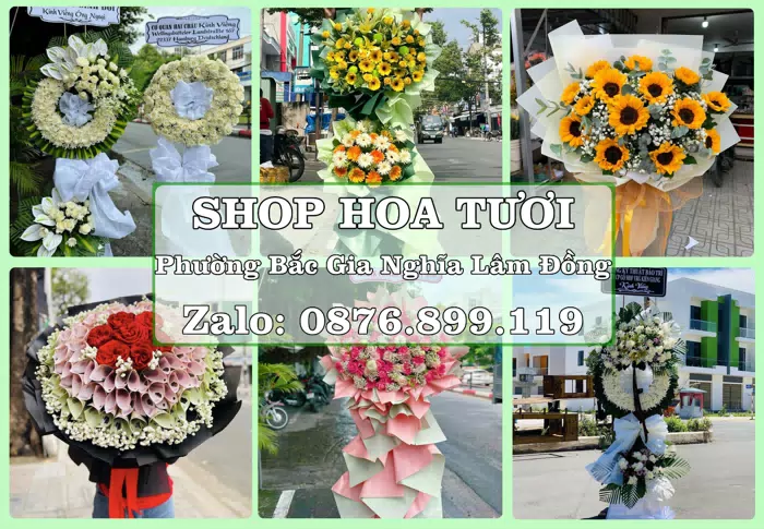 Shop hoa tươi tại Phường Bắc Gia Nghĩa Lâm Đồng – Hoa xinh, trái cây cho những dịp gần gũi · ảnh 1