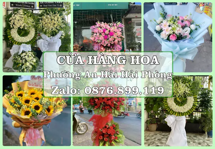 Shop hoa tươi tại Phường An Hải Hải Phòng – Tư vấn hoa và trái cây theo ngân sách · ảnh 1