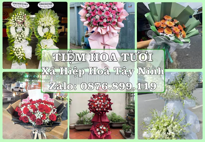 Shop hoa tươi tại Xã Hiệp Hoà Tây Ninh – Tìm món quà hợp dịp, hợp người nhận · ảnh 1
