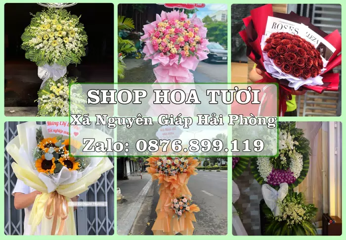 Shop hoa tươi tại Xã Nguyên Giáp Hải Phòng – Hoa xinh, trái cây cho những dịp gần gũi · ảnh 1