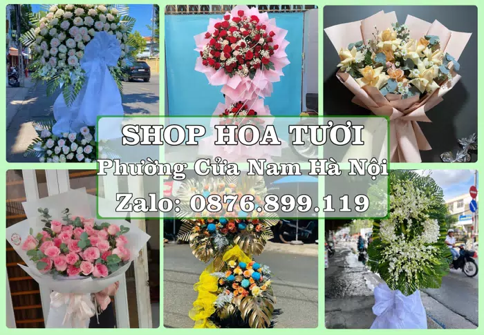 Shop hoa tươi tại Phường Cửa Nam Hà Nội – Hoa tươi và trái cây, dễ chọn theo từng dịp · ảnh 1