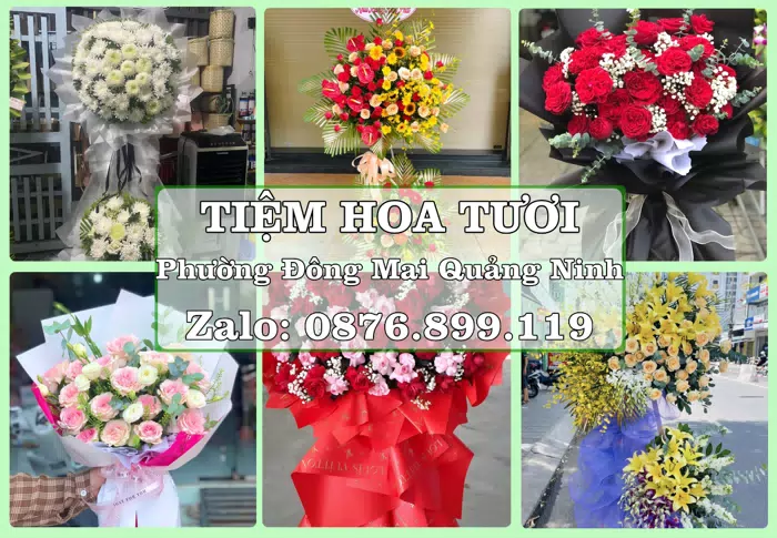 Shop hoa tươi tại Phường Đông Mai Quảng Ninh – Đặt quà gửi người thân từ xa · ảnh 1