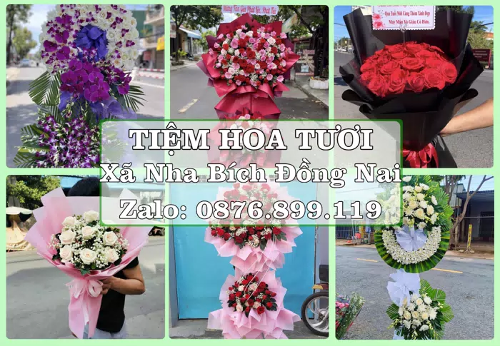Shop hoa tươi tại Xã Nha Bích Đồng Nai – Hoa xinh, trái cây cho những dịp gần gũi · ảnh 1
