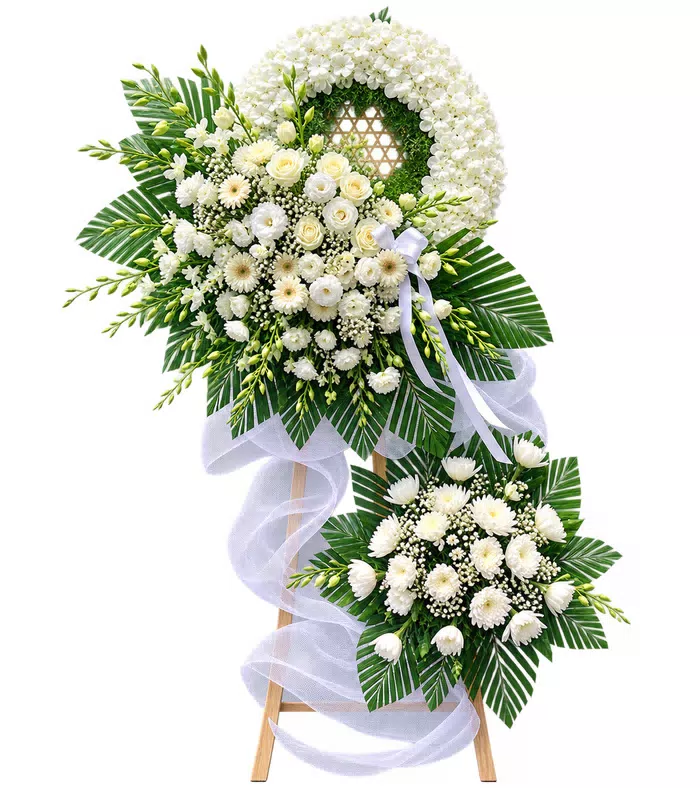 An Tịnh – kệ hoa phân ưu hồng trắng · 1277