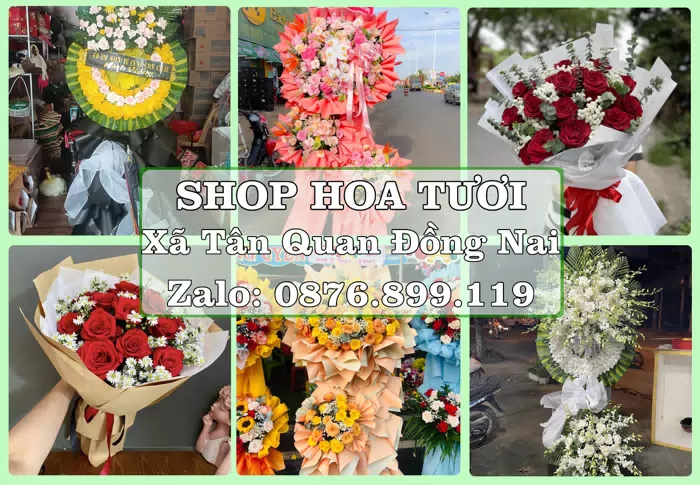 Shop hoa tươi tại Xã Tân Quan Đồng Nai – Hoa tươi và trái cây, dễ chọn theo từng dịp · ảnh 1