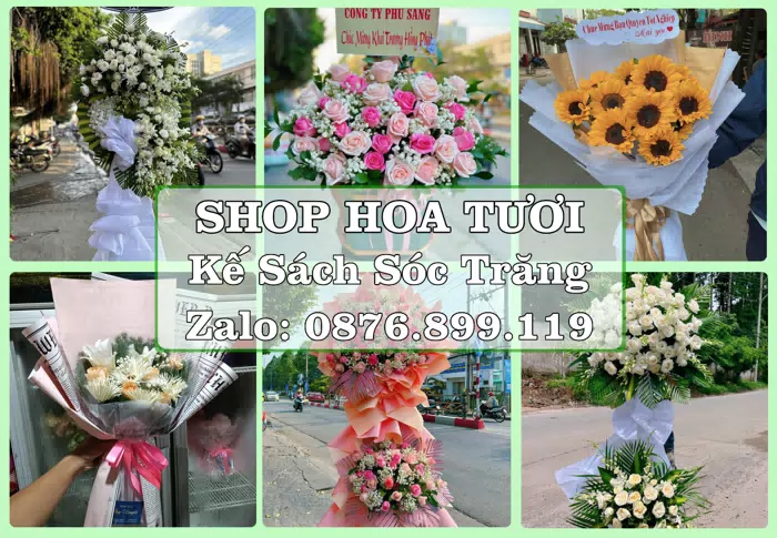 Shop hoa tươi tại Kế Sách Sóc Trăng – Từ bó hoa tặng đến giỏ trái cây biếu · ảnh 1