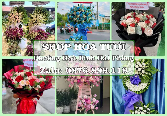Shop hoa tươi tại Phường Hoà Bình Hải Phòng – Gửi lời quan tâm bằng hoa và trái cây · ảnh 1