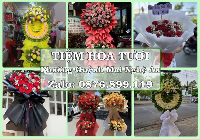 Shop hoa tươi tại Phường Quỳnh Mai Nghệ An – Hoa xinh, trái cây cho những dịp gần gũi · ảnh 1
