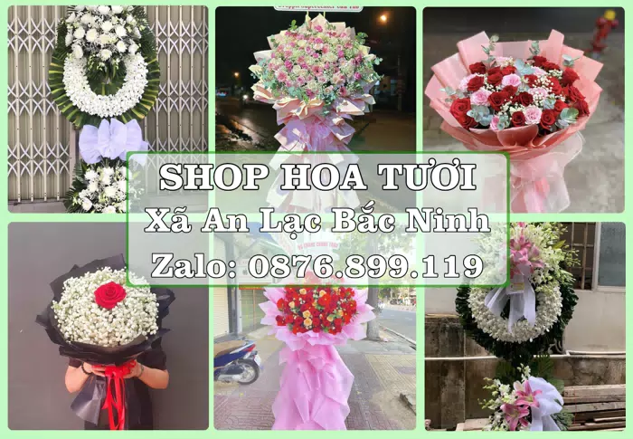 Shop hoa tươi tại Xã An Lạc Bắc Ninh – Chọn hoa, chọn giỏ quà thật chu đáo · ảnh 1