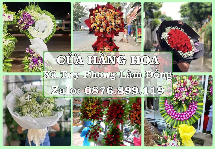 Shop hoa tươi tại Xã Tuy Phong Lâm Đồng – Từ bó hoa tặng đến giỏ trái cây biếu · ảnh 1