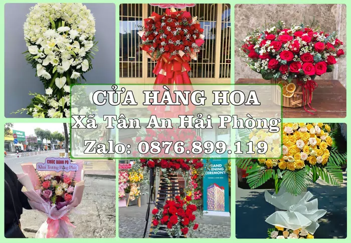 Shop hoa tươi tại Xã Tân An Hải Phòng – Tìm món quà hợp dịp, hợp người nhận · ảnh 1