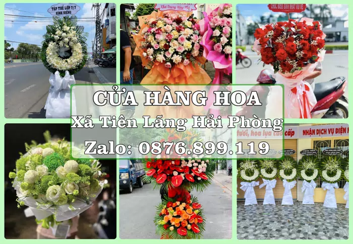 Shop hoa tươi tại Xã Tiên Lãng Hải Phòng – Hoa chúc mừng, quà biếu theo nhu cầu · ảnh 1