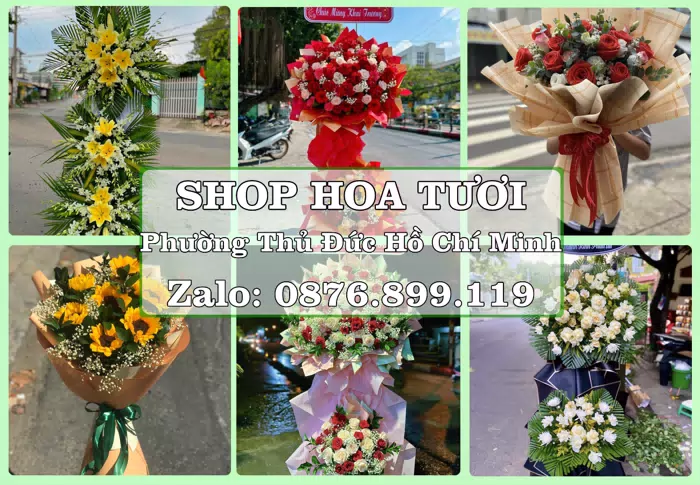 Shop hoa tươi tại Phường Thủ Đức Hồ Chí Minh – Hoa tươi và trái cây, dễ chọn theo từng dịp · ảnh 1