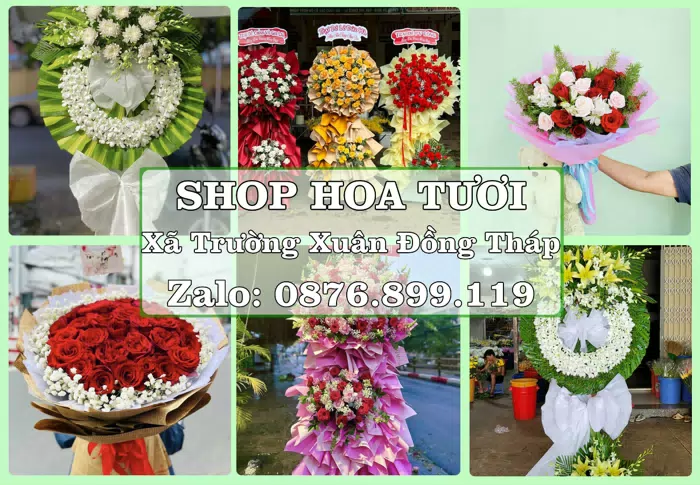Shop hoa tươi tại Xã Trường Xuân Đồng Tháp – Gửi lời quan tâm bằng hoa và trái cây · ảnh 1
