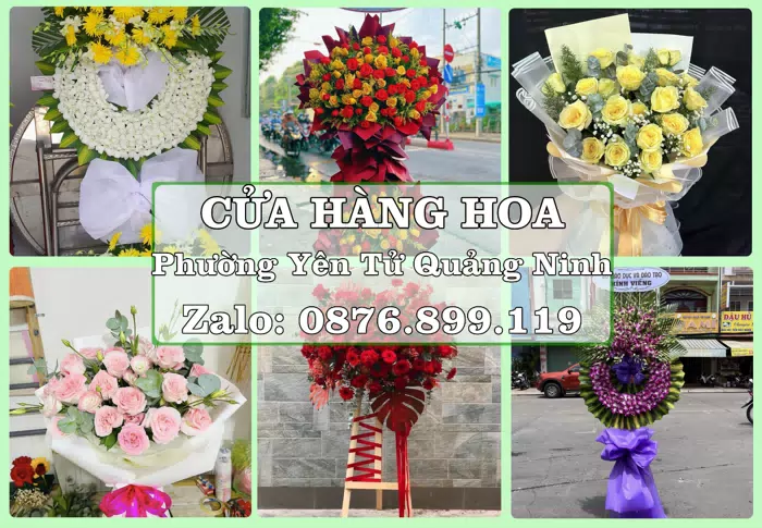 Shop hoa tươi tại Phường Yên Tử Quảng Ninh – Từ bó hoa tặng đến giỏ trái cây biếu · ảnh 1
