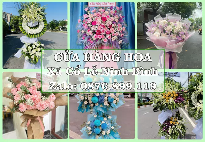 Shop hoa tươi tại Xã Cổ Lễ Ninh Bình – Từ bó hoa tặng đến giỏ trái cây biếu · ảnh 1