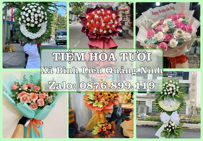 Shop hoa tươi tại Xã Bình Liêu Quảng Ninh – Hoa xinh, trái cây cho những dịp gần gũi · ảnh 1
