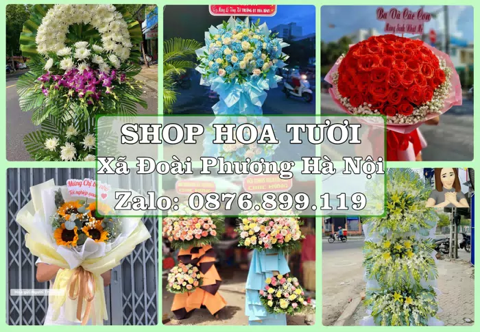 Shop hoa tươi tại Xã Đoài Phương Hà Nội – Từ bó hoa tặng đến giỏ trái cây biếu · ảnh 1