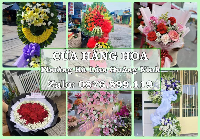 Shop hoa tươi tại Phường Hà Lầm Quảng Ninh – Đặt quà gửi người thân từ xa · ảnh 1