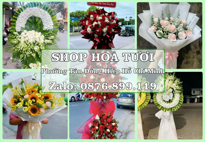 Shop hoa tươi tại Phường Tân Đông Hiệp Hồ Chí Minh – Gửi lời quan tâm bằng hoa và trái cây · ảnh 1