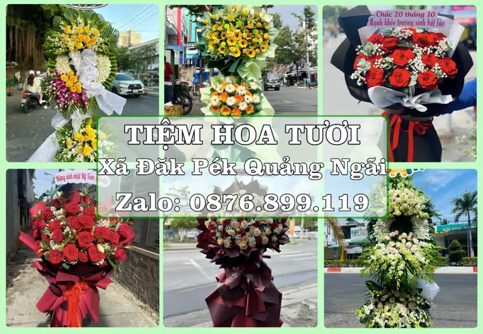 Shop hoa tươi tại Xã Đăk Pék Quảng Ngãi – Gửi lời quan tâm bằng hoa và trái cây · ảnh 1