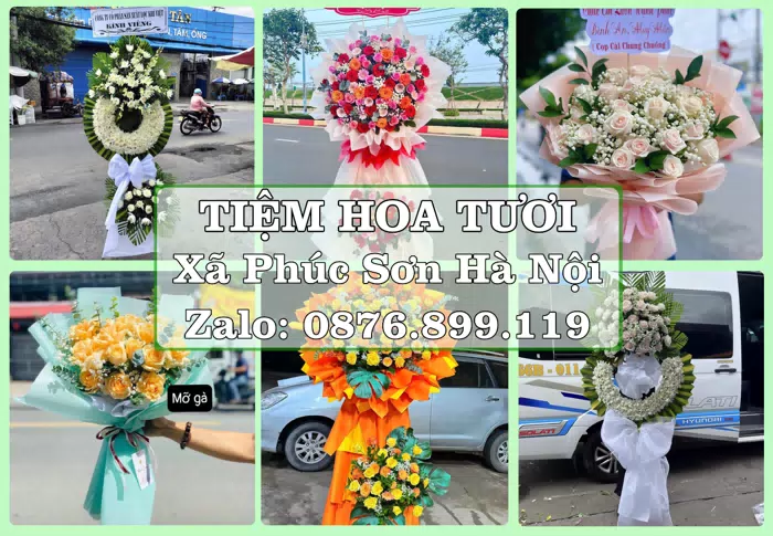 Shop hoa tươi tại Xã Phúc Sơn Hà Nội – Gửi lời quan tâm bằng hoa và trái cây · ảnh 1
