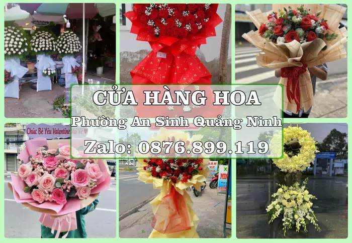 Shop hoa tươi tại Phường An Sinh Quảng Ninh – Gửi lời quan tâm bằng hoa và trái cây · ảnh 1