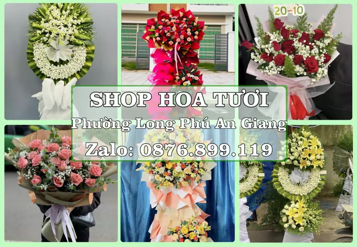 Shop hoa tươi tại Phường Long Phú An Giang – Chọn hoa, chọn giỏ quà thật chu đáo · ảnh 1