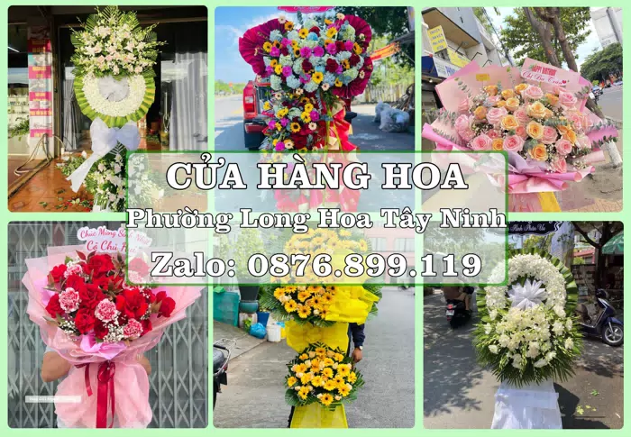 Shop hoa tươi tại Phường Long Hoa Tây Ninh – Hoa chúc mừng, quà biếu theo nhu cầu · ảnh 1
