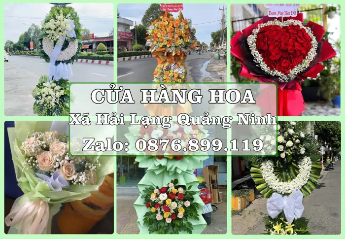Shop hoa tươi tại Xã Hải Lạng Quảng Ninh – Từ bó hoa tặng đến giỏ trái cây biếu · ảnh 1