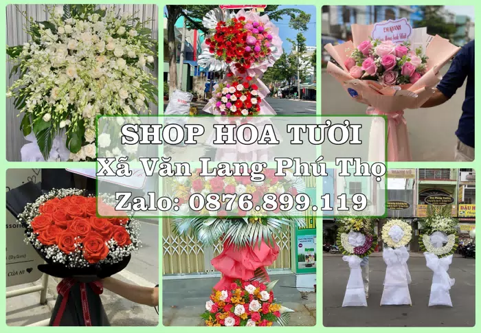 Shop hoa tươi tại Xã Văn Lang Phú Thọ – Chọn hoa, chọn giỏ quà thật chu đáo · ảnh 1