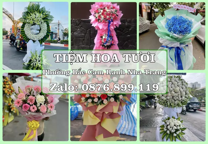Shop hoa tươi tại Phường Bắc Cam Ranh Nha Trang – Một món quà vừa ý cho ngày đáng nhớ · ảnh 1