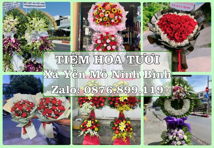 Shop hoa tươi tại Xã Yên Mô Ninh Bình – Tư vấn hoa và trái cây theo ngân sách · ảnh 1