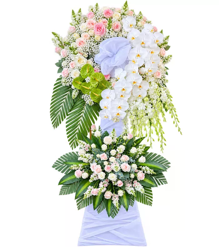Tiễn Người – kệ hoa phân ưu hồng phấn lan trắng