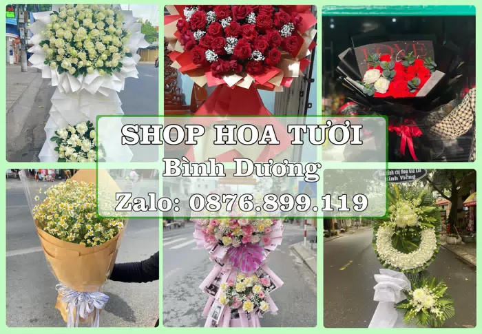 Shop hoa tươi tại Bình Dương – Chọn hoa, chọn giỏ quà thật chu đáo · ảnh 1