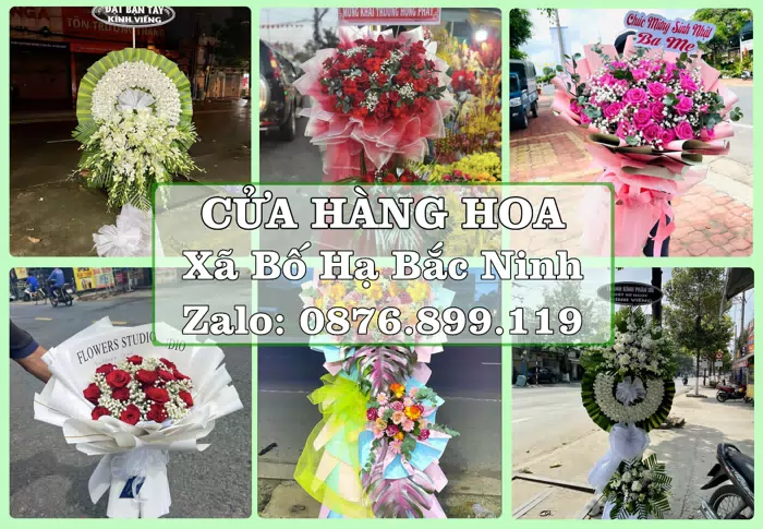 Shop hoa tươi tại Xã Bố Hạ Bắc Ninh – Hoa tươi và trái cây, dễ chọn theo từng dịp · ảnh 1